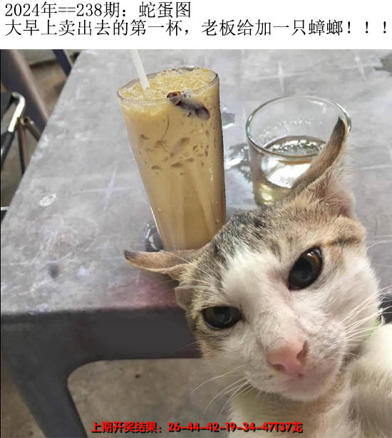 2024238期另版蛇蛋图