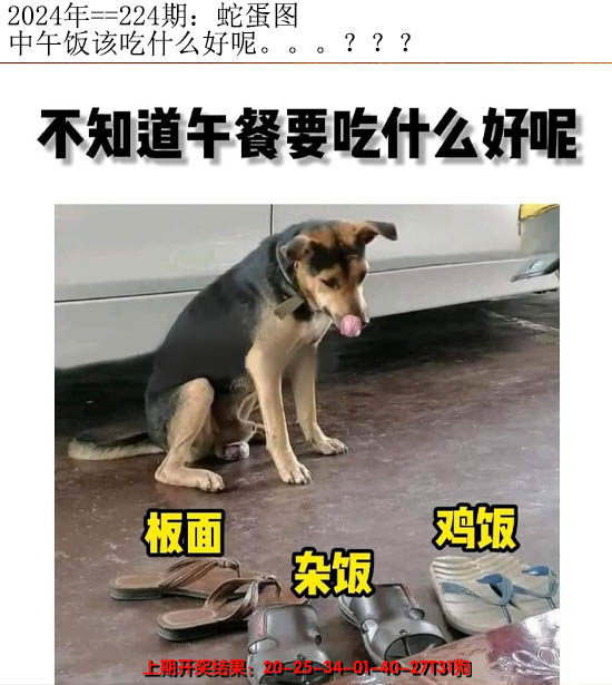 2024224期另版蛇蛋图