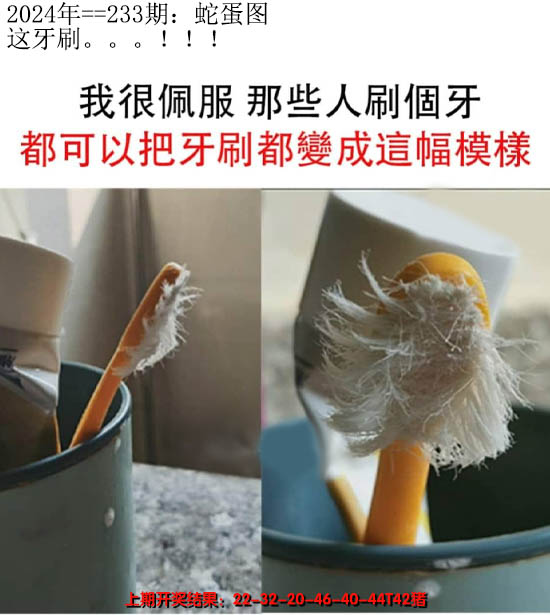 2024233期另版蛇蛋图