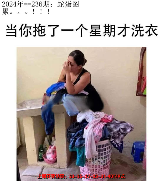 2024236期另版蛇蛋图