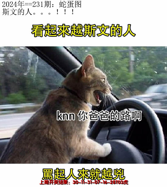 2024231期另版蛇蛋图