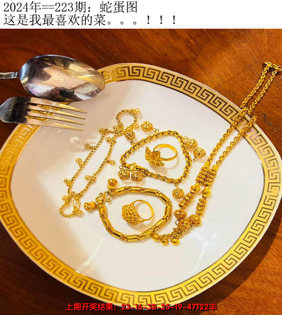 2024223期另版蛇蛋图