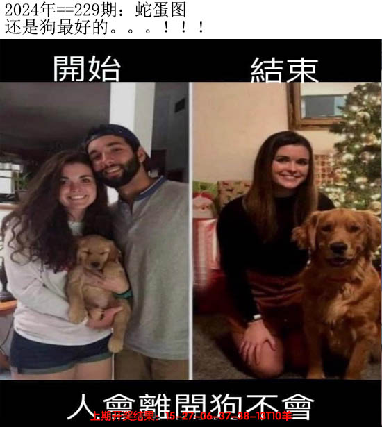 2024229期另版蛇蛋图