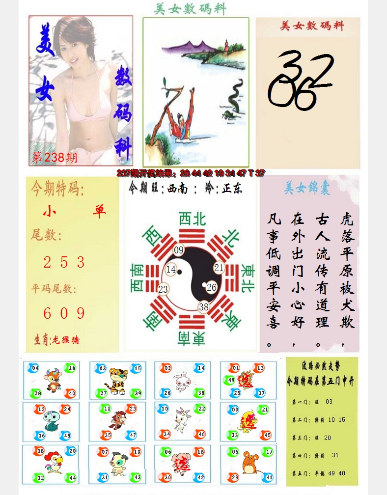2024238期美女数码料