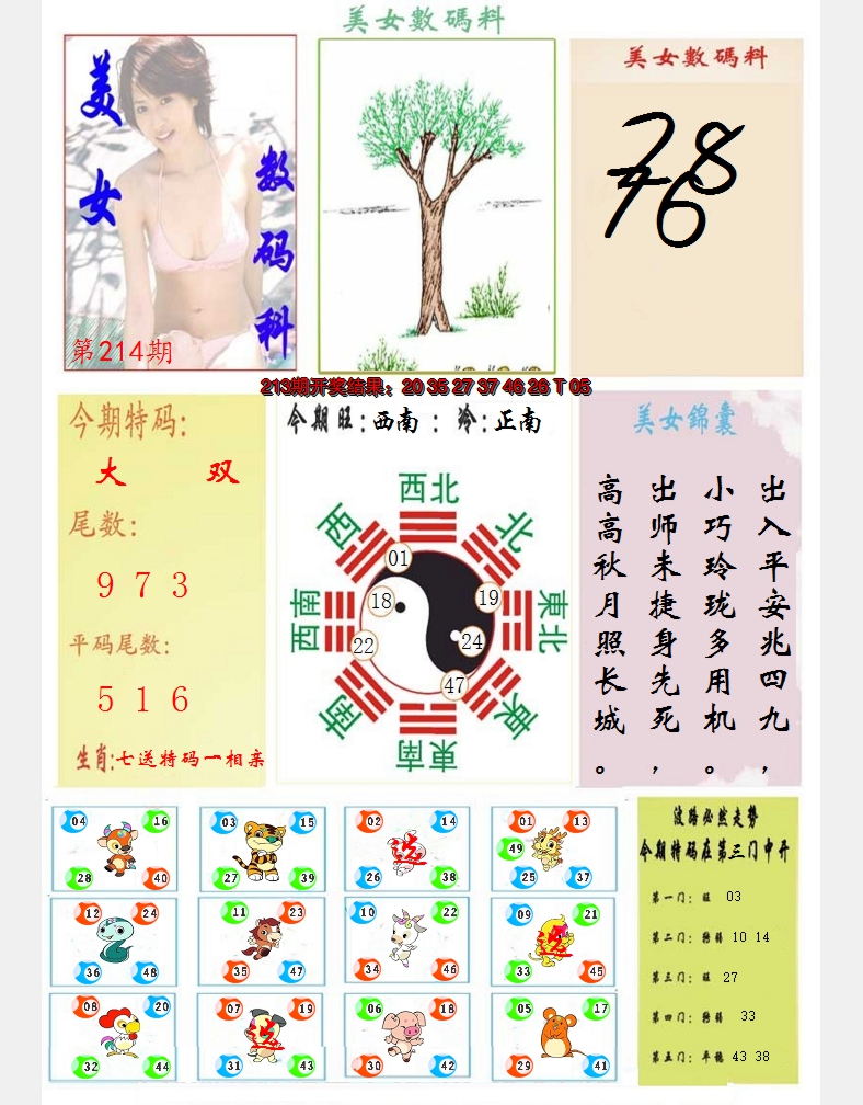 2024214期美女数码料