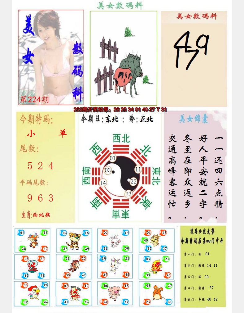 2024224期美女数码料