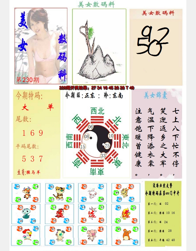 2024230期美女数码料