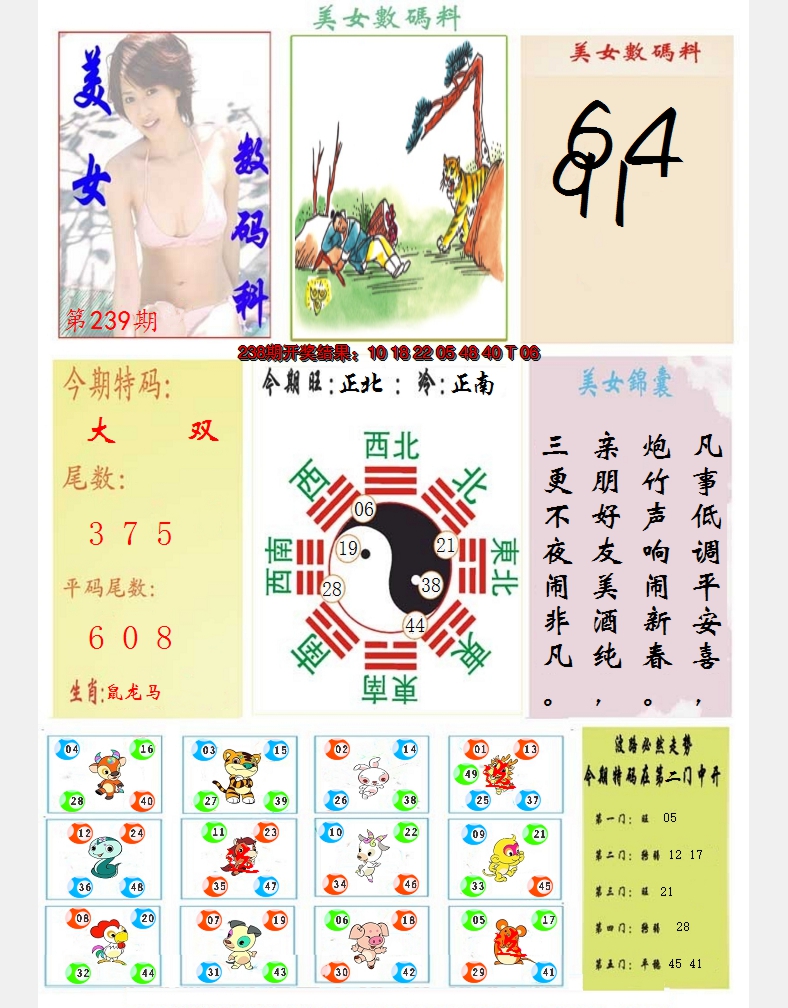 2024239期美女数码料