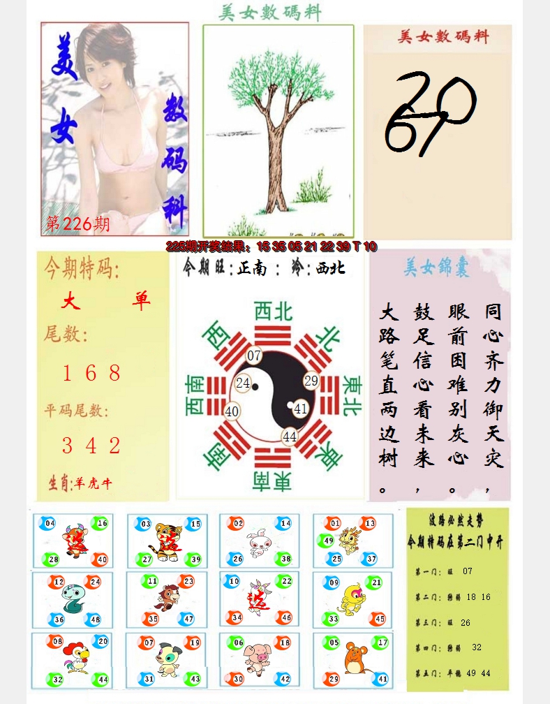 2024226期美女数码料