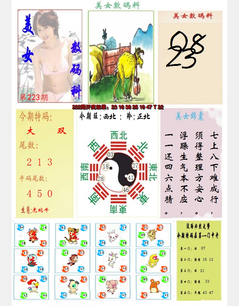 2024223期美女数码料