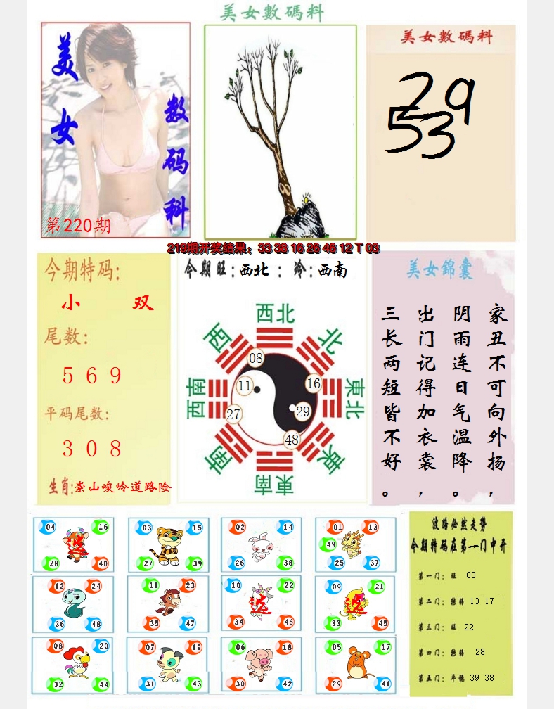 2024220期美女数码料