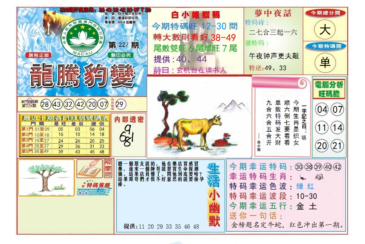2024227期龙腾豹变