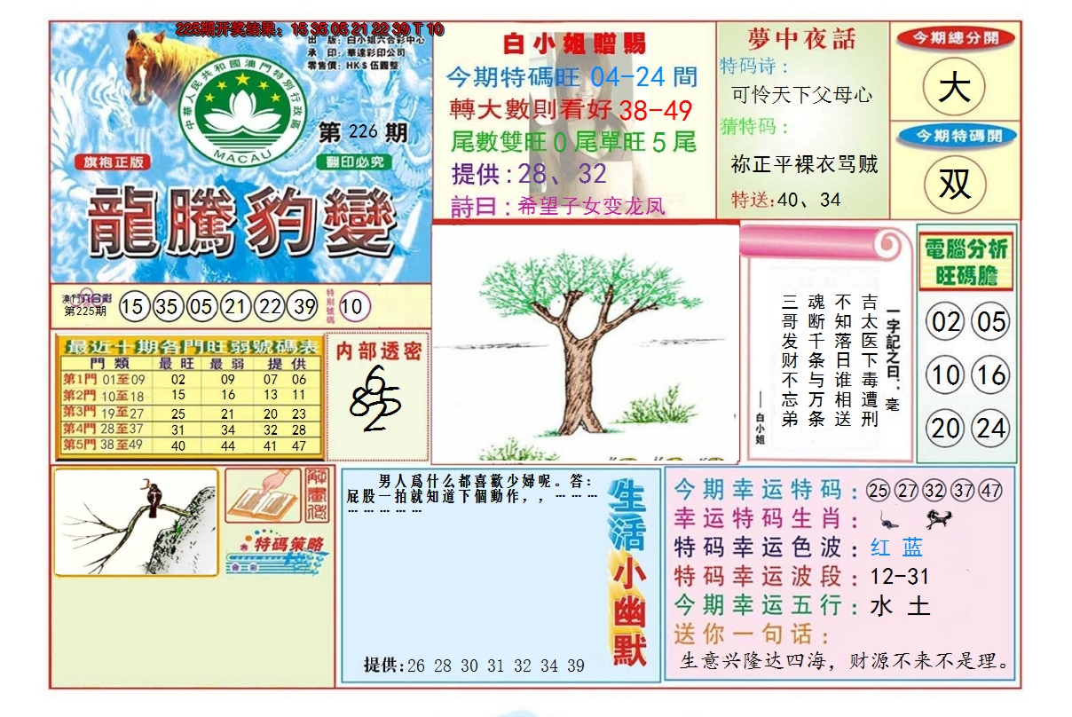 2024226期龙腾豹变