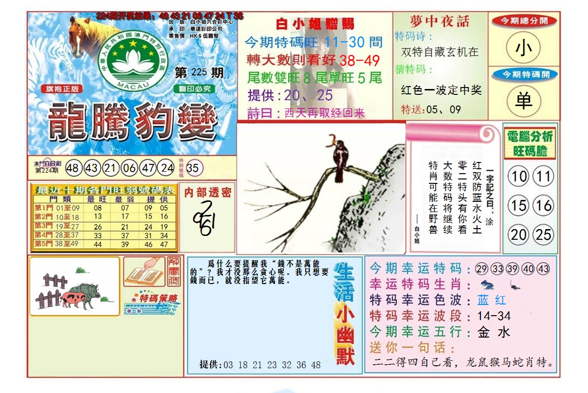 2024225期龙腾豹变