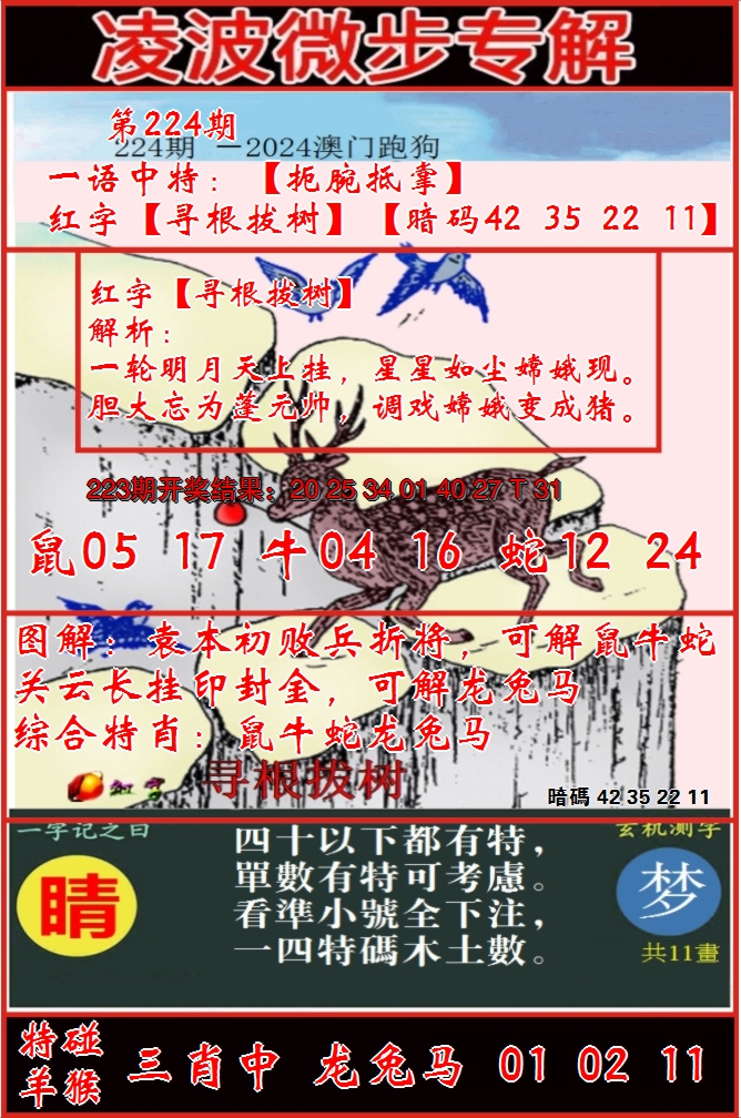 2024224期凌波微步