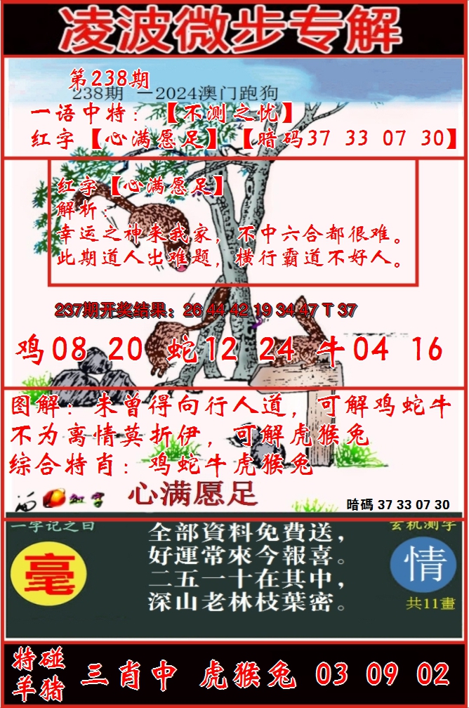 2024238期凌波微步