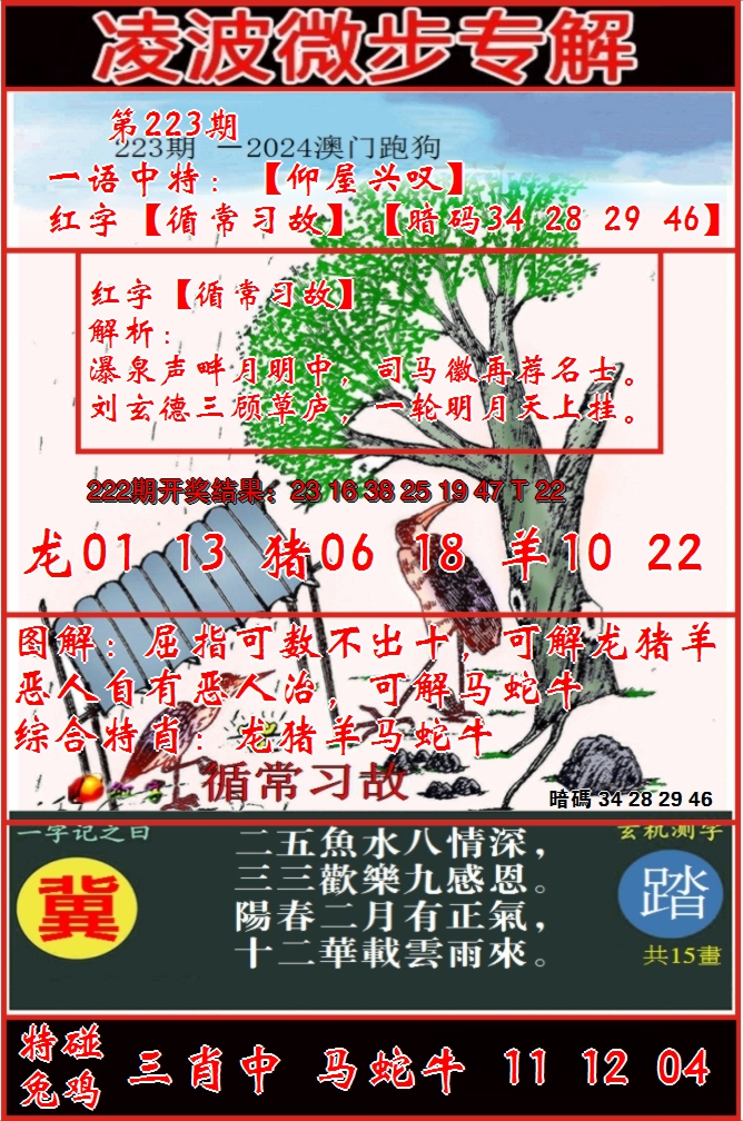 2024223期凌波微步