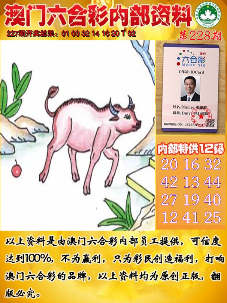 2024228期六合内部资料