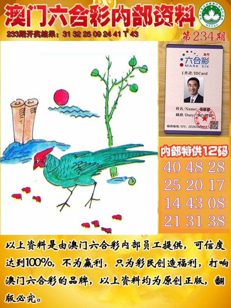 2024234期六合内部资料