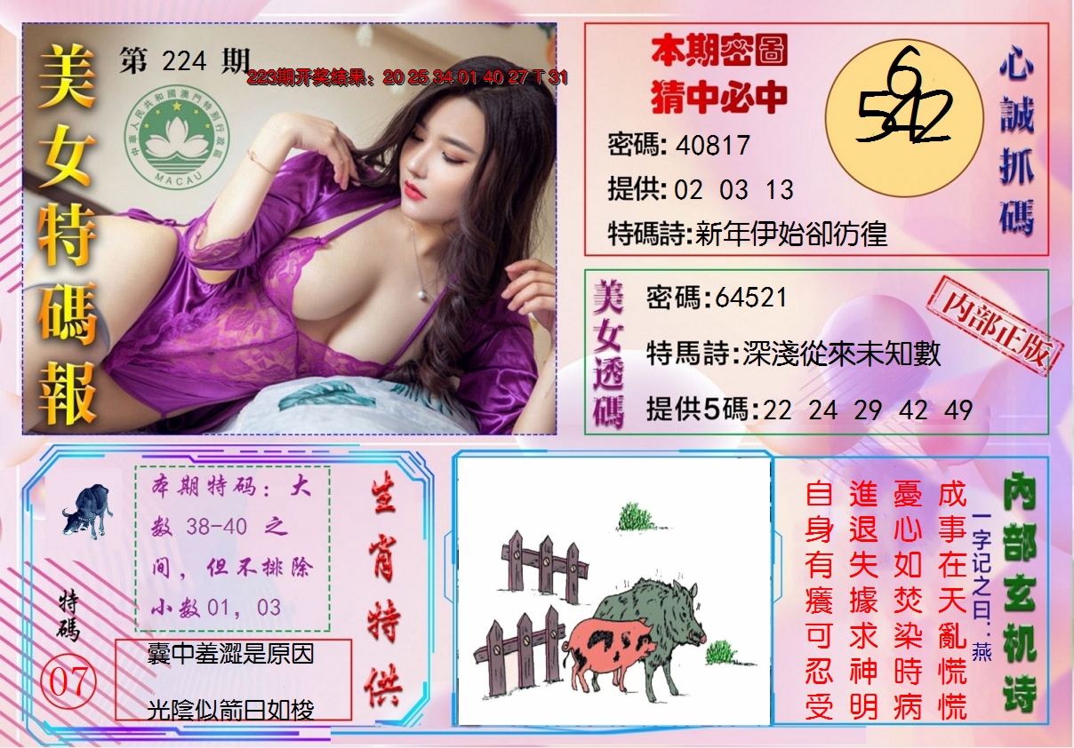 2024224期美女特码报