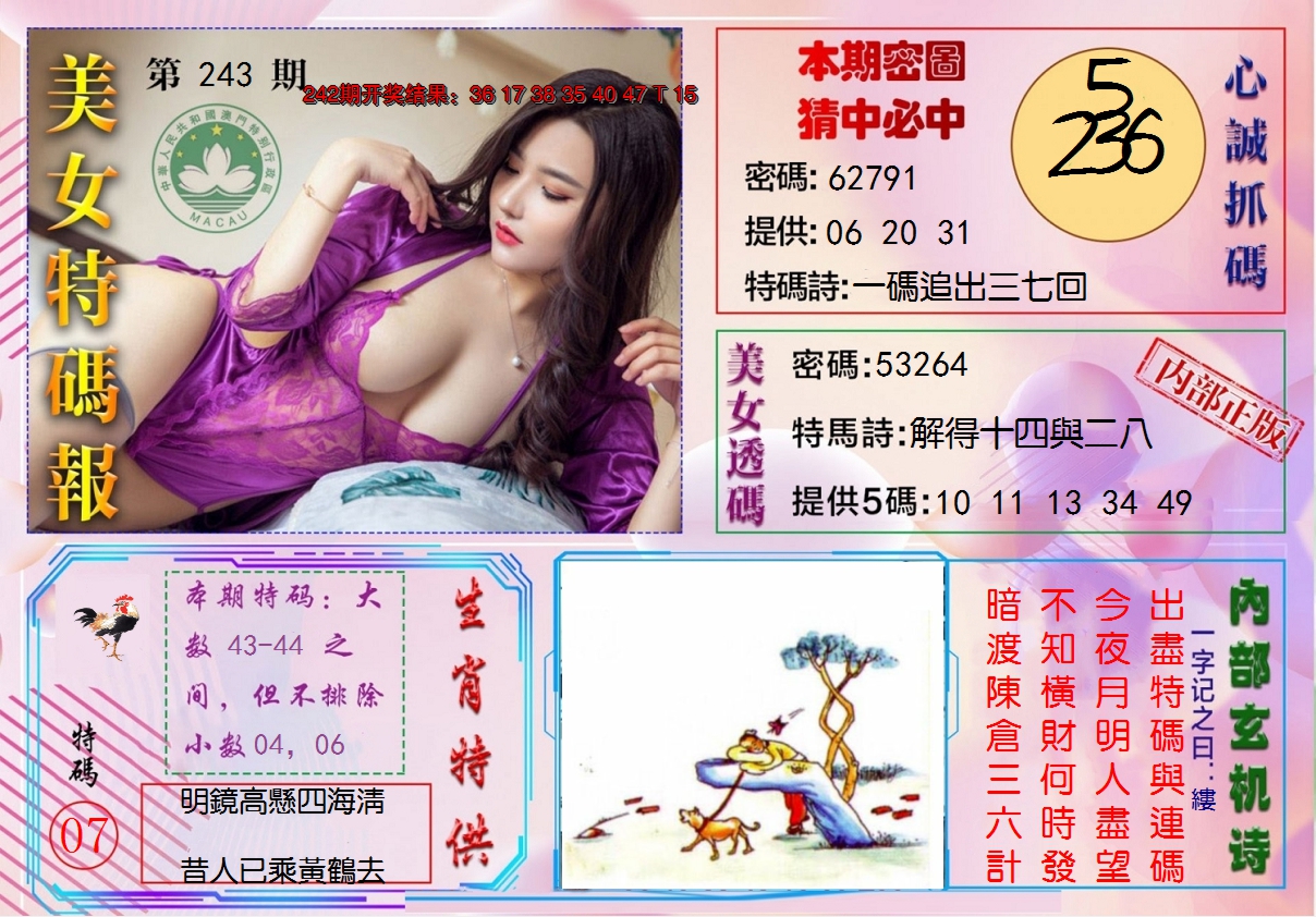 2024243期美女特码报