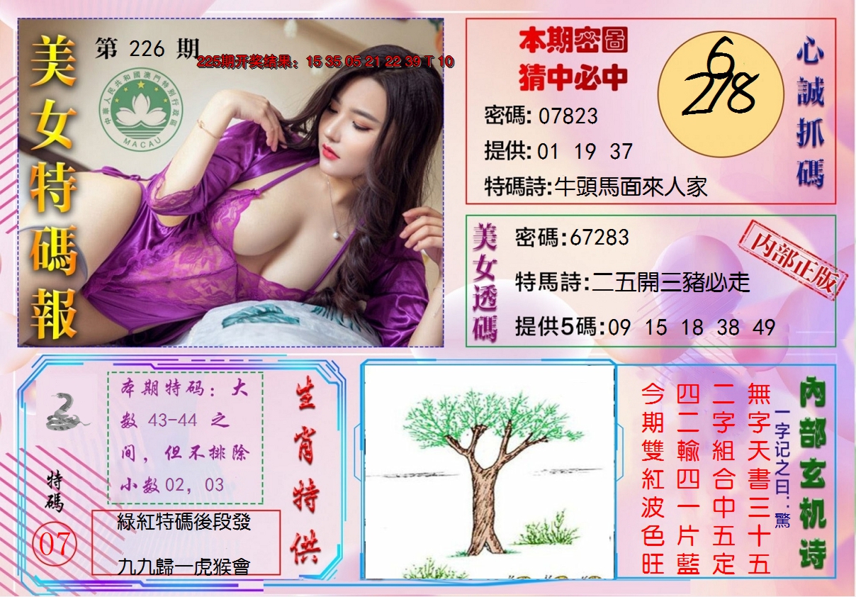 2024226期美女特码报