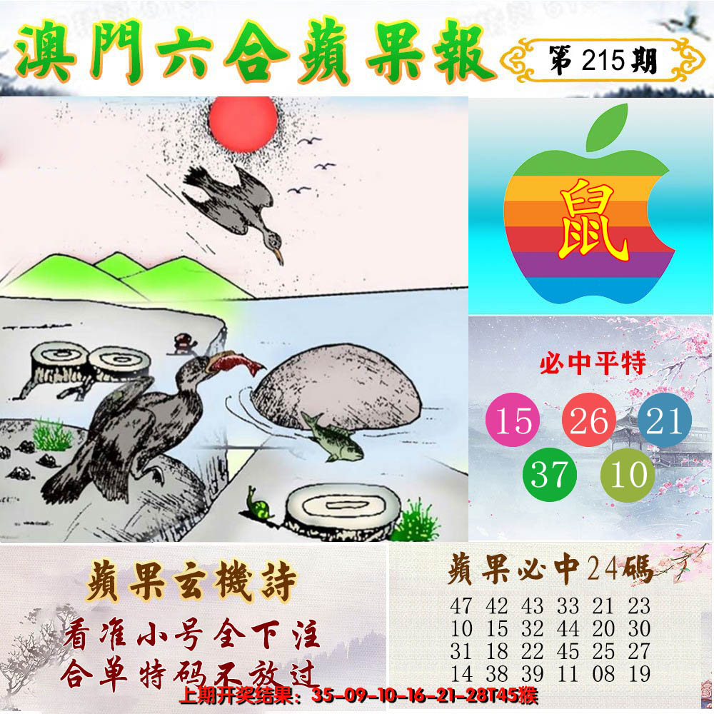 2024215期苹果报