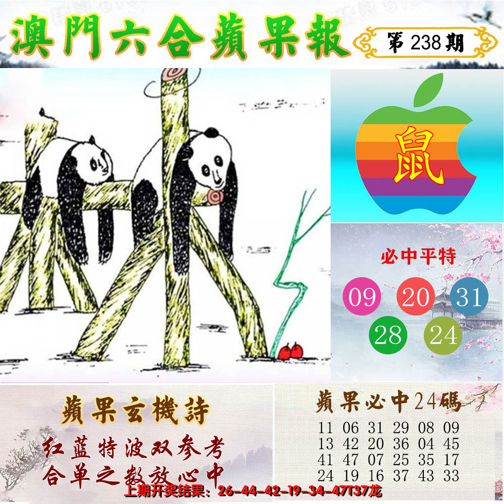 2024238期苹果报