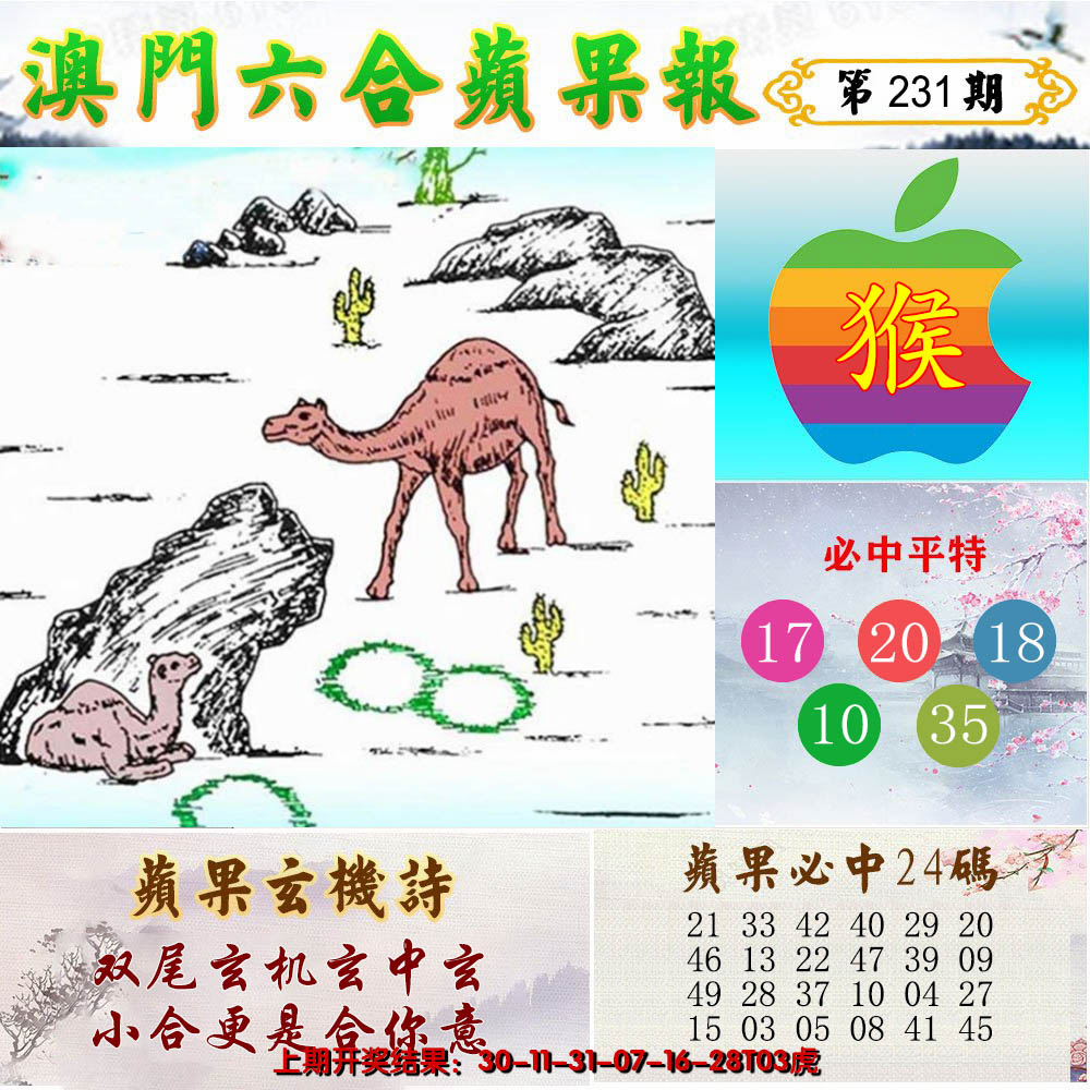 2024231期苹果报