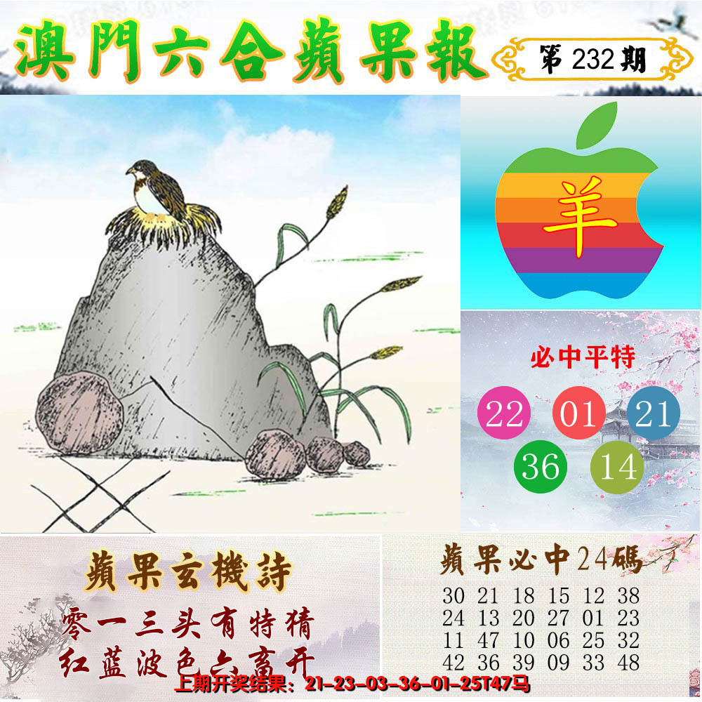 2024232期苹果报