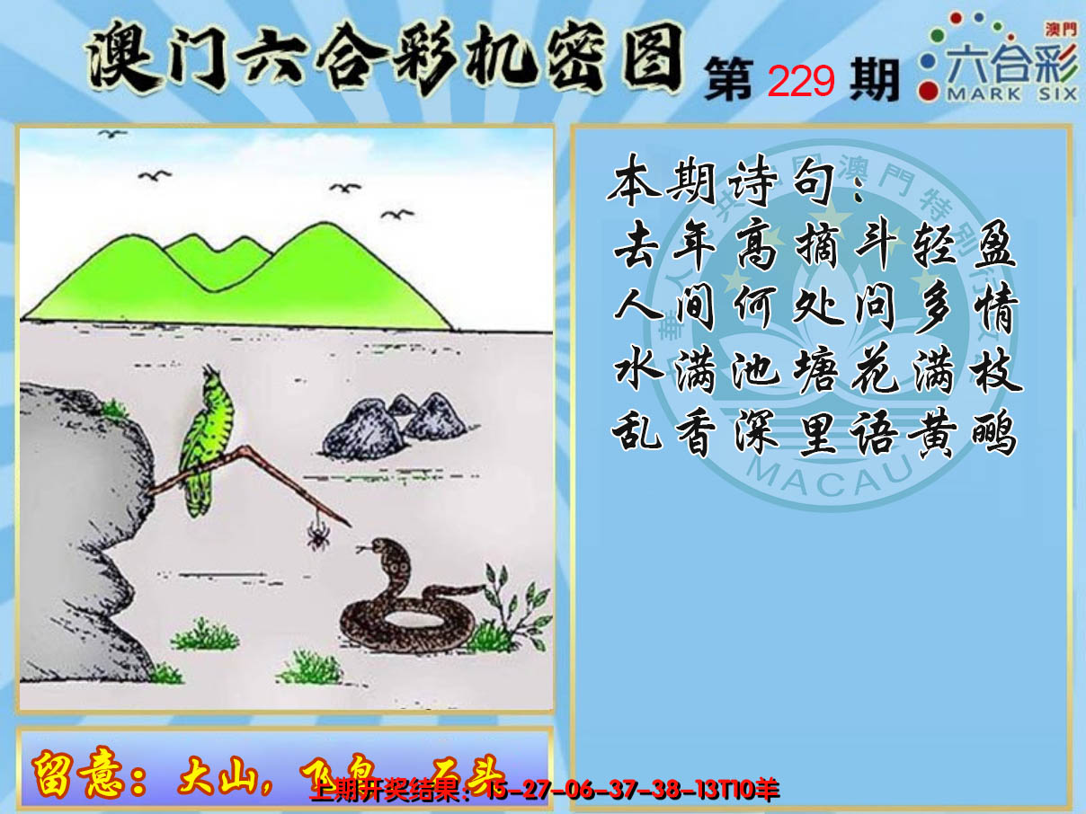2024229期机密图