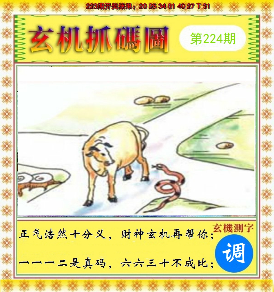 2024224期玄机抓码图
