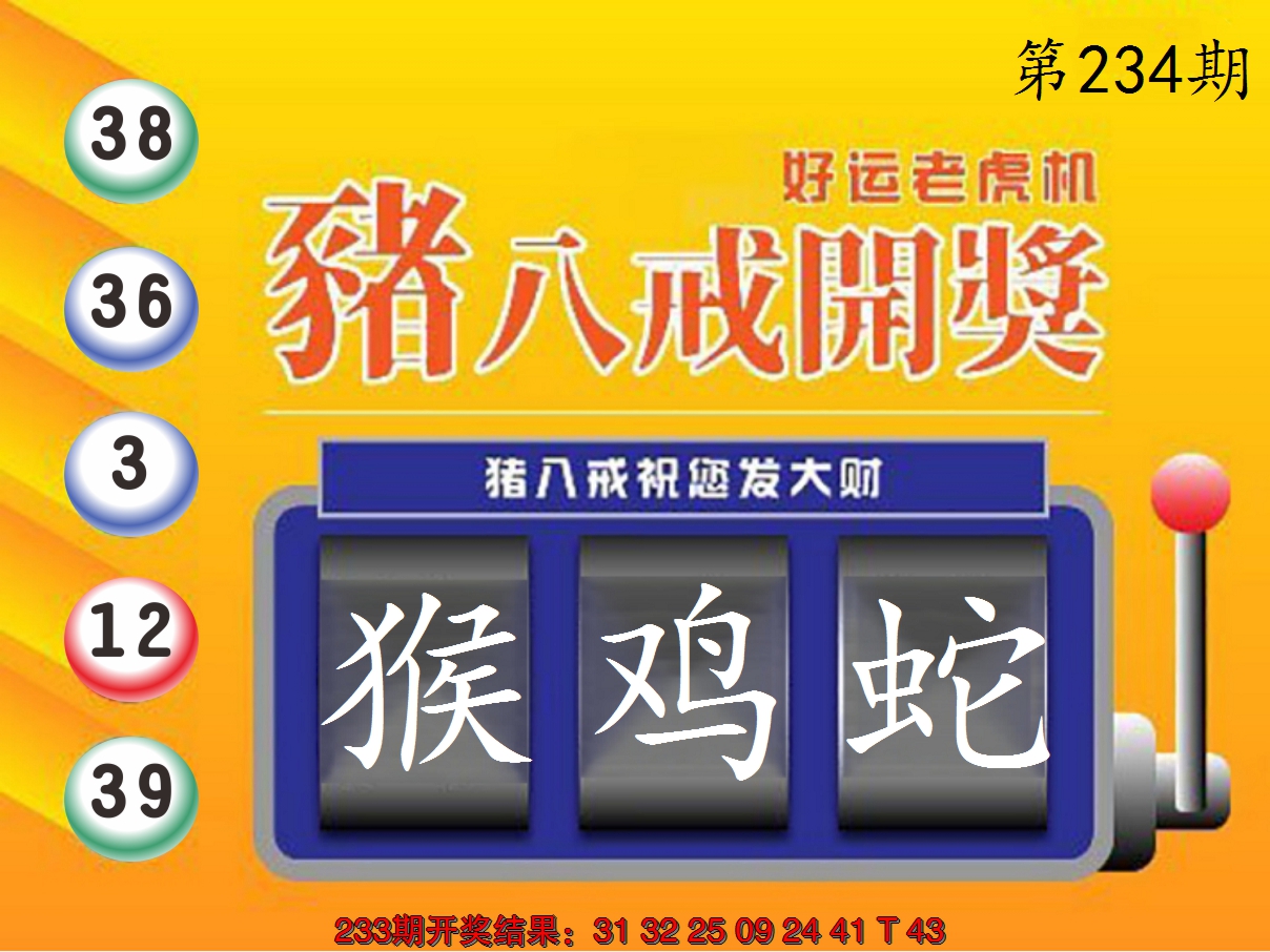 2024234期猪八戒开奖A