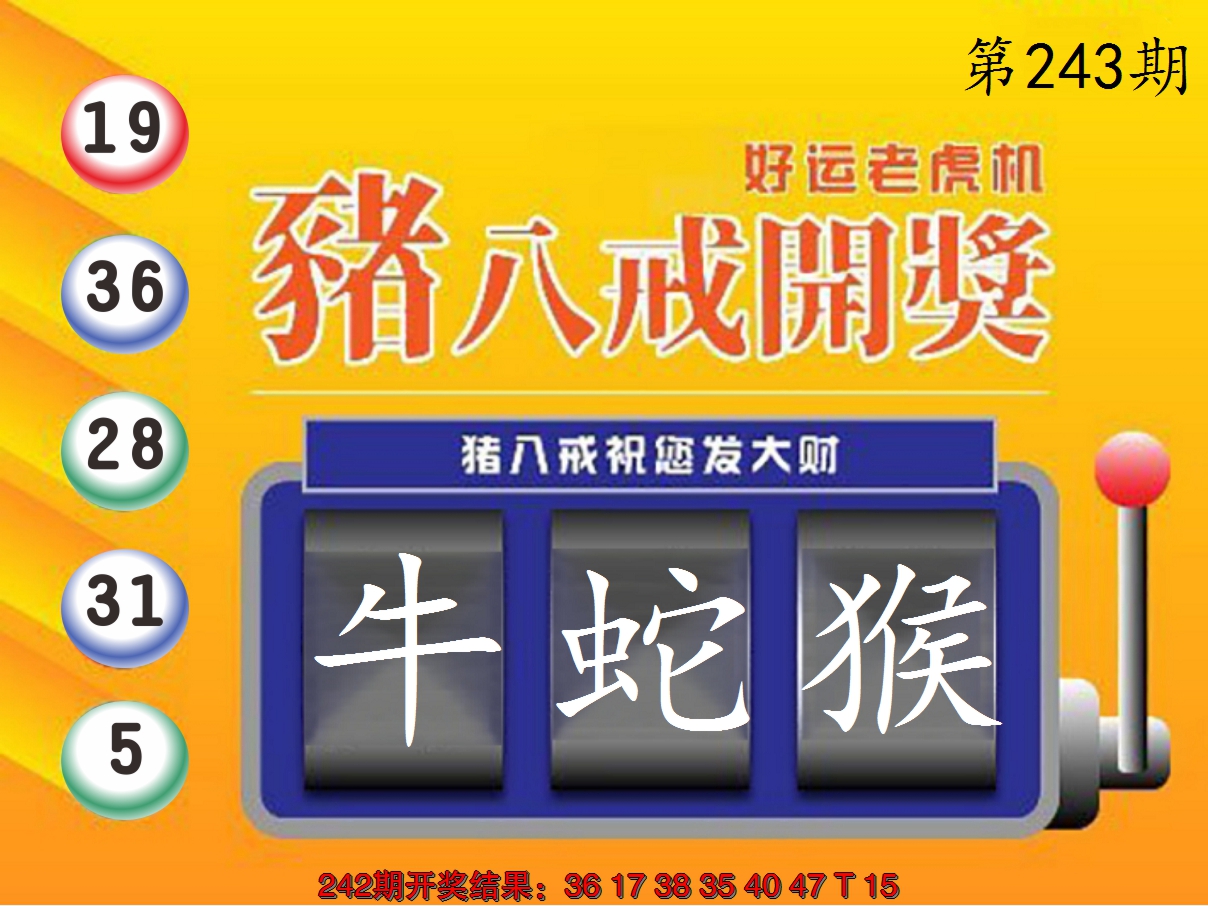 2024243期猪八戒开奖A