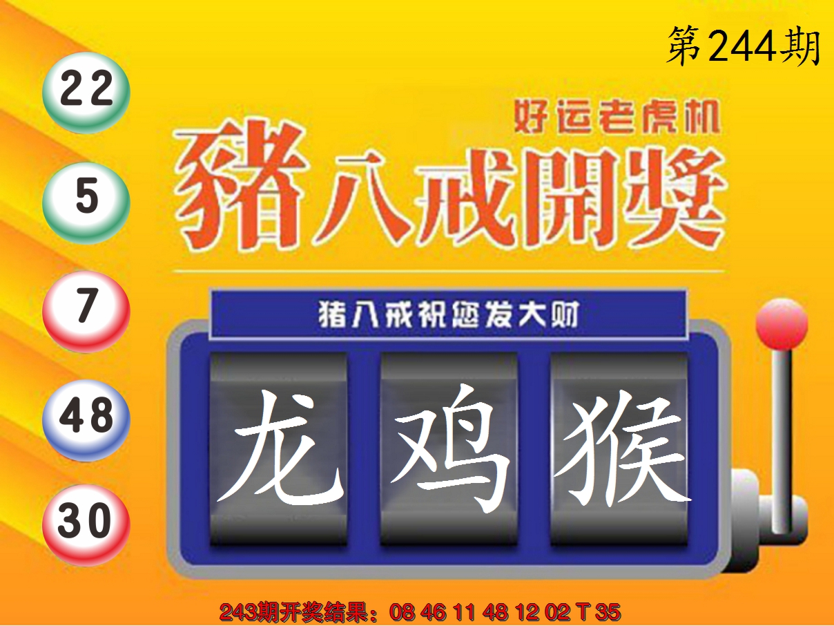 2024244期猪八戒开奖A