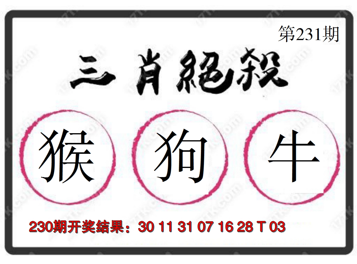 2024231期三肖绝杀