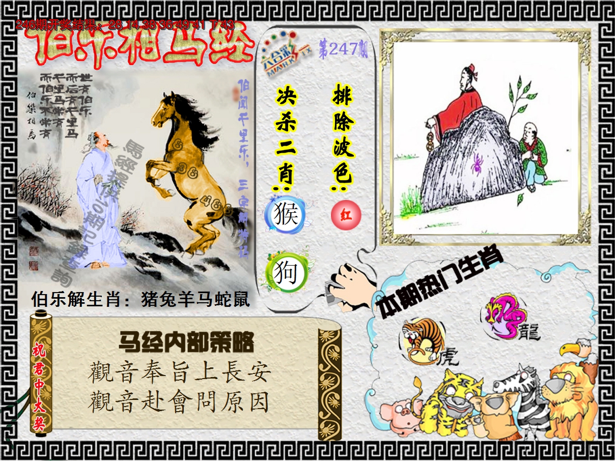 2024247期伯乐相马经