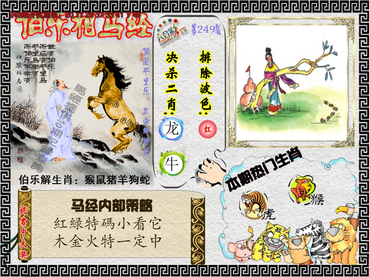2024249期伯乐相马经
