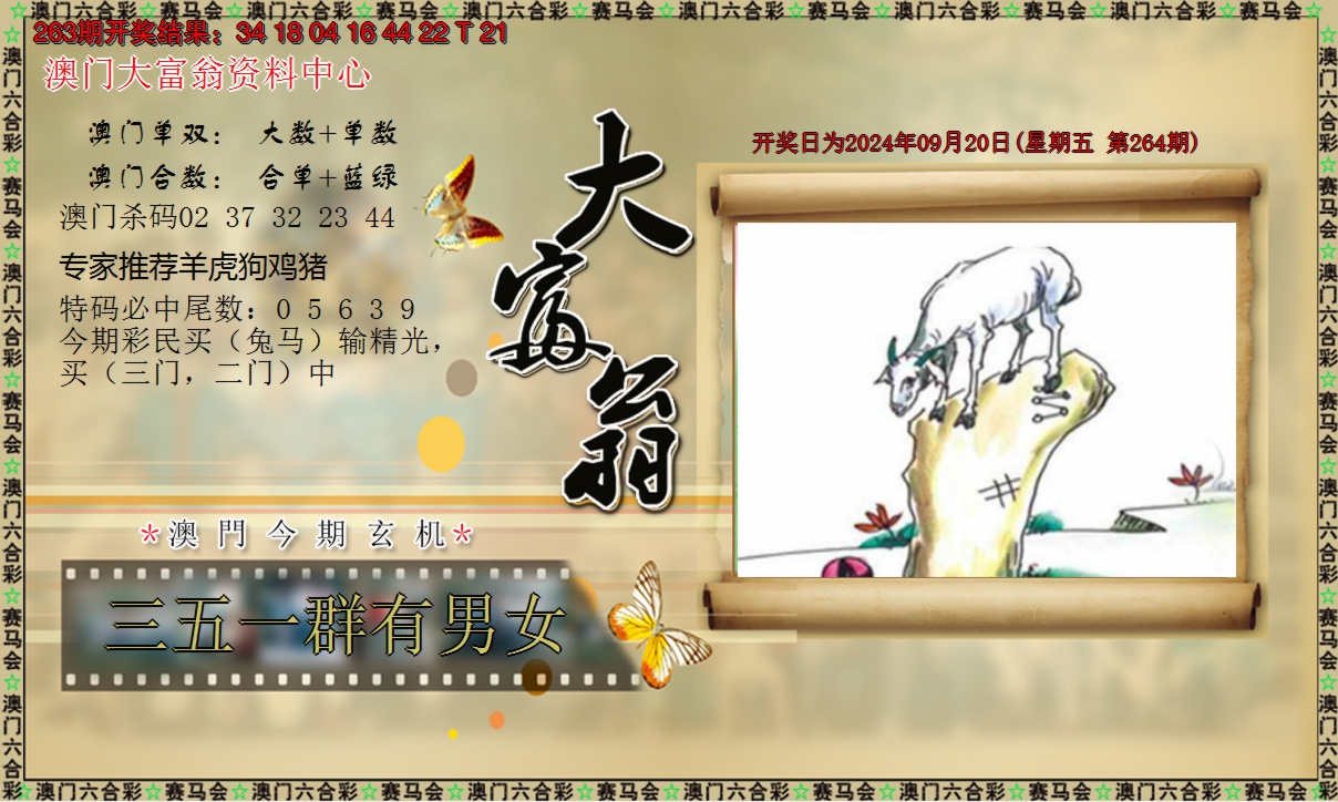 2024264期新大富翁