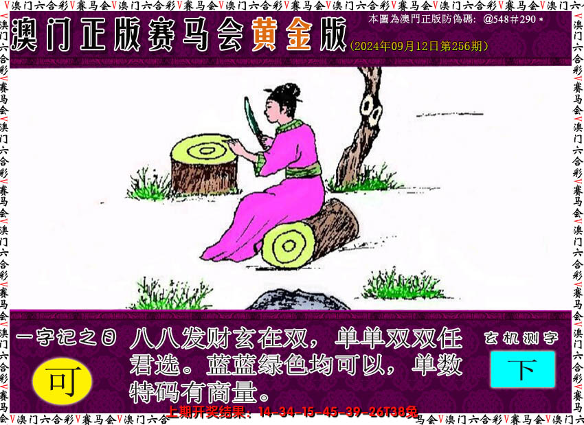2024256期赛马会黄金版