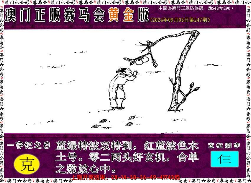 2024247期赛马会黄金版