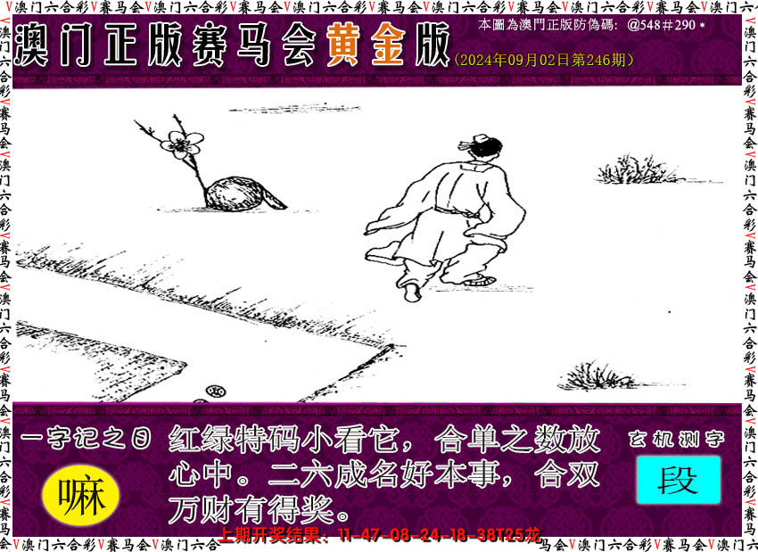 2024246期赛马会黄金版
