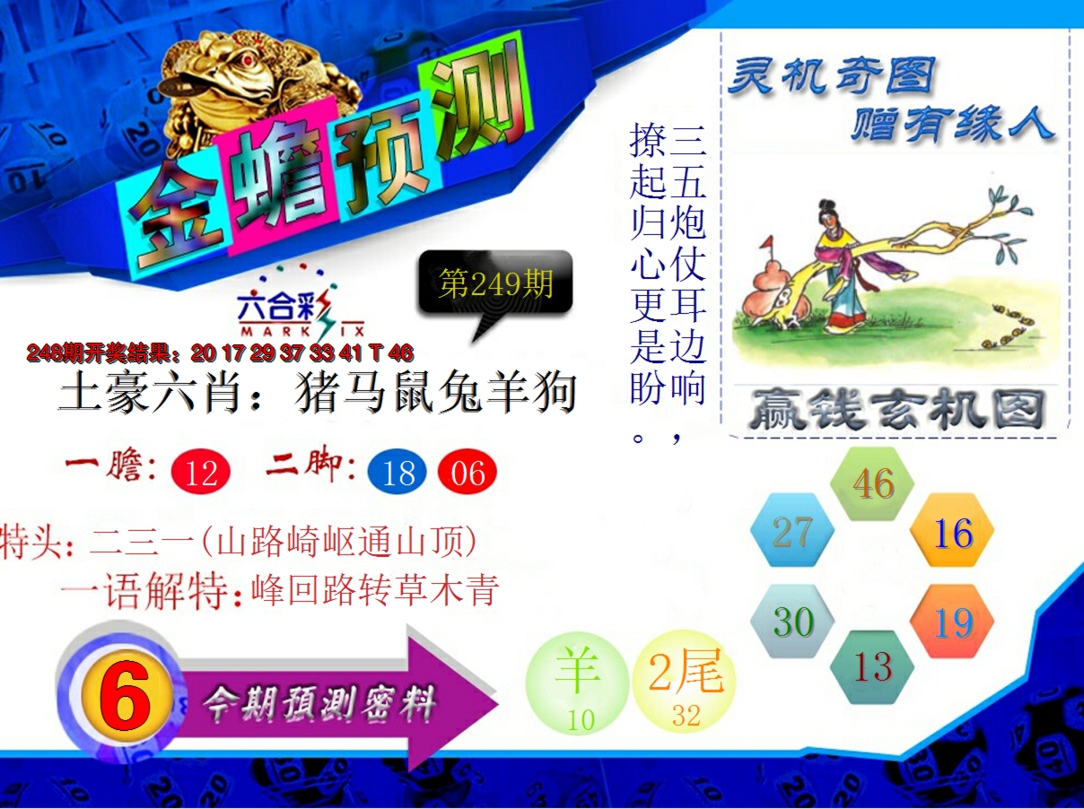 2024249期金蟾预测