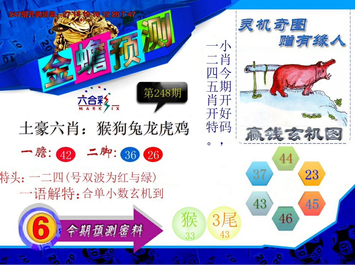 2024248期金蟾预测