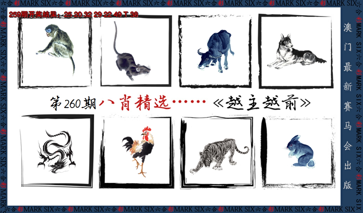 2024260期八肖精选