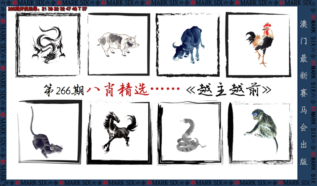2024266期八肖精选