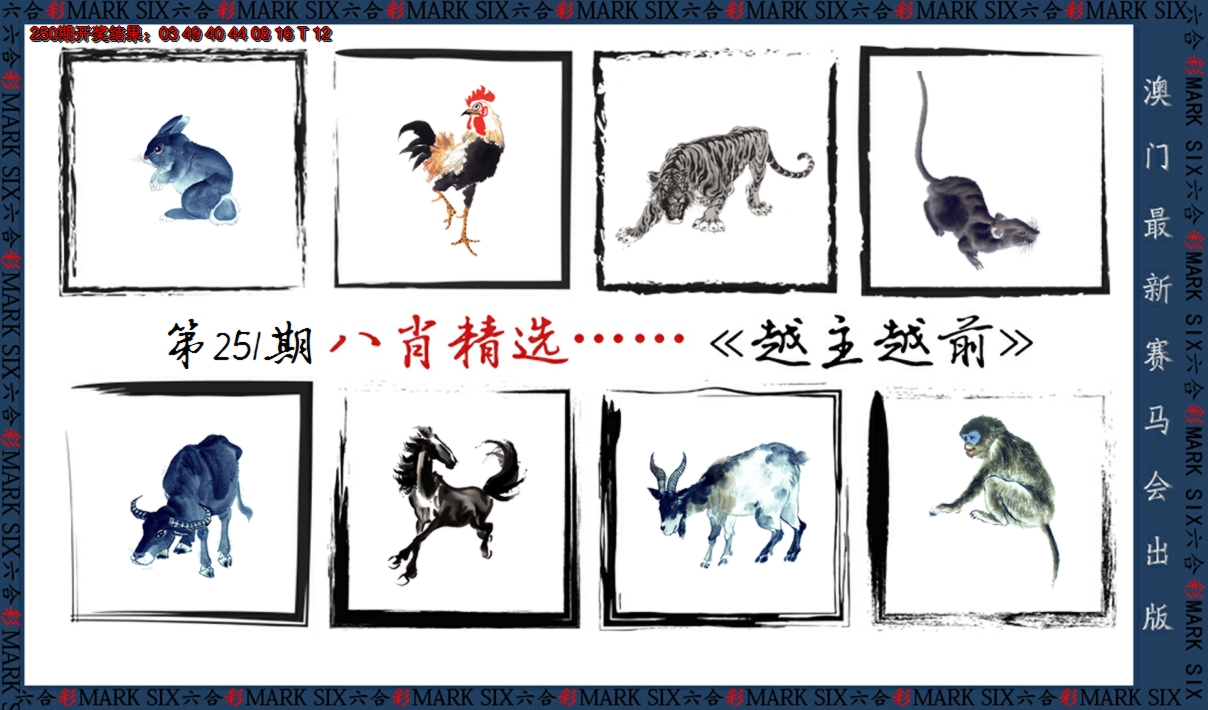 2024251期八肖精选