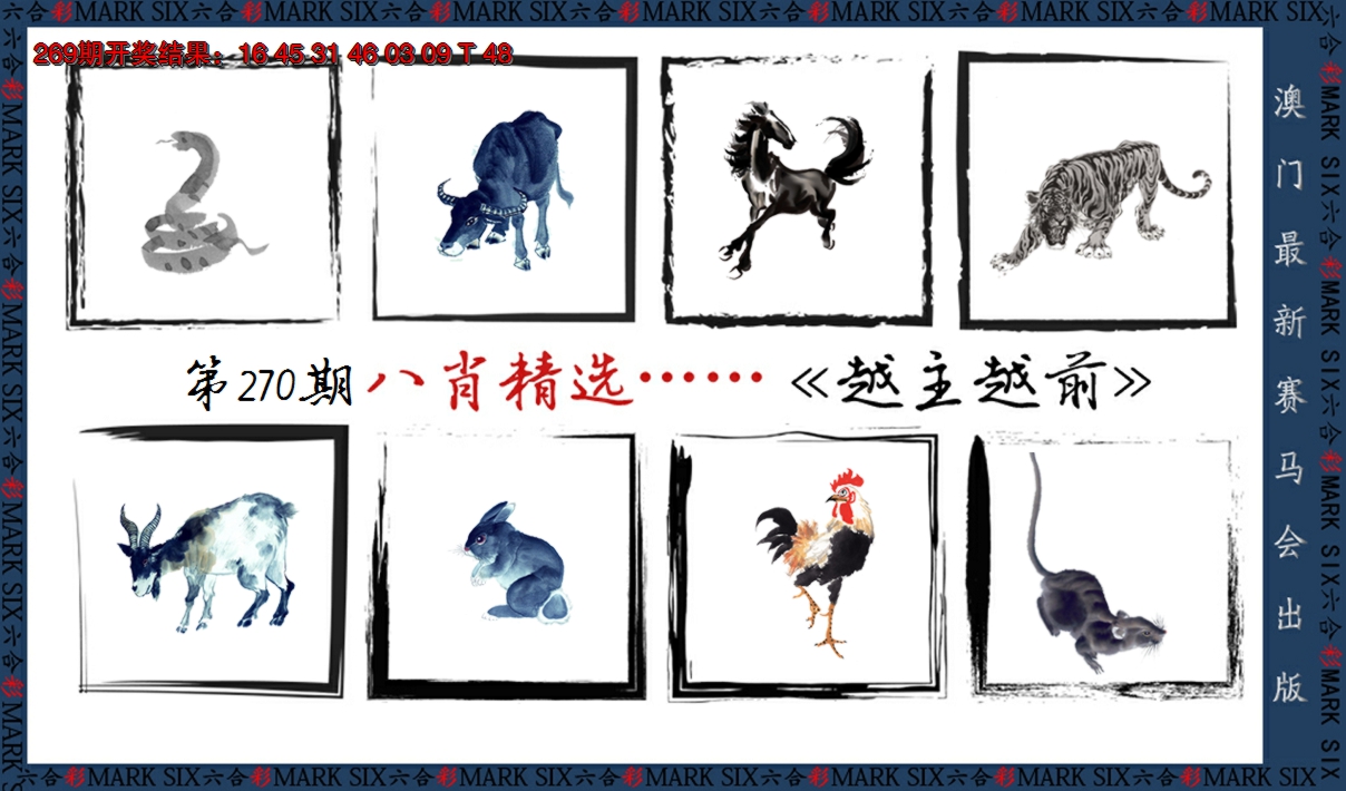 2024270期八肖精选