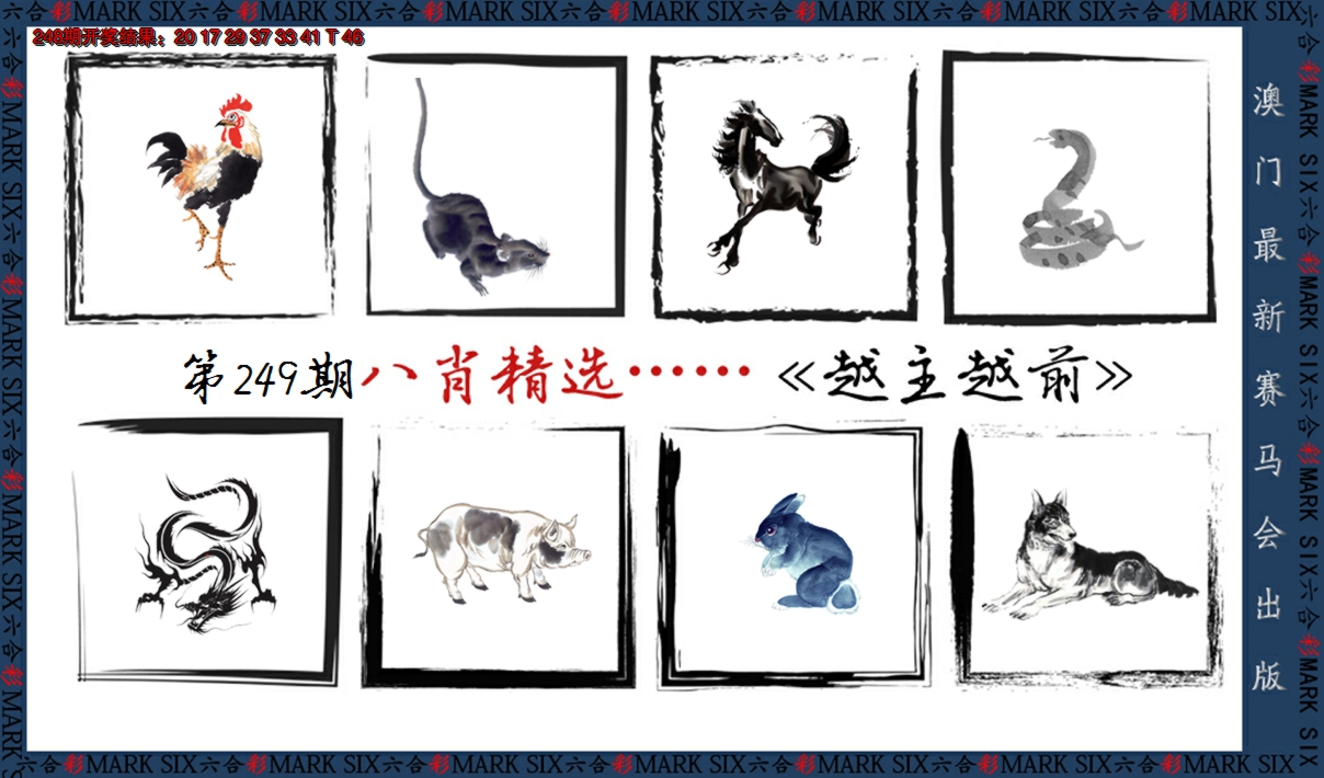 2024249期八肖精选