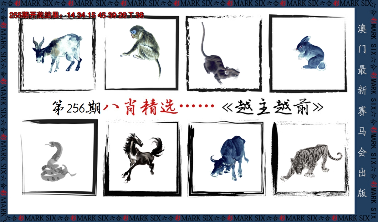 2024256期八肖精选